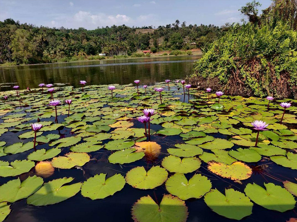 Karlad Lake